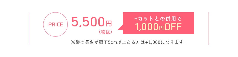 5,500円(税抜)